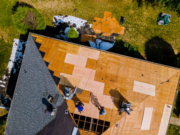 Best Gutter Installation and Roofing  in Forks, WA