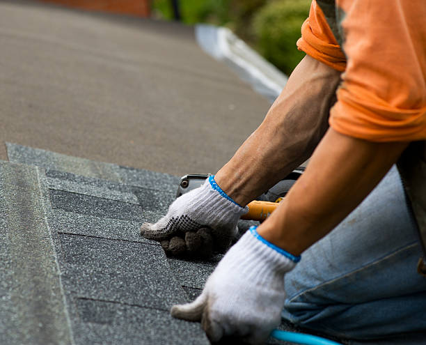 Best Storm Damage Roof Repair  in Forks, WA
