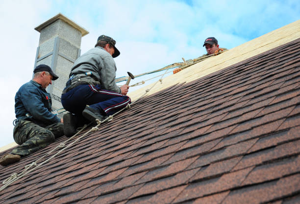 Best Roof Maintenance Services  in Forks, WA